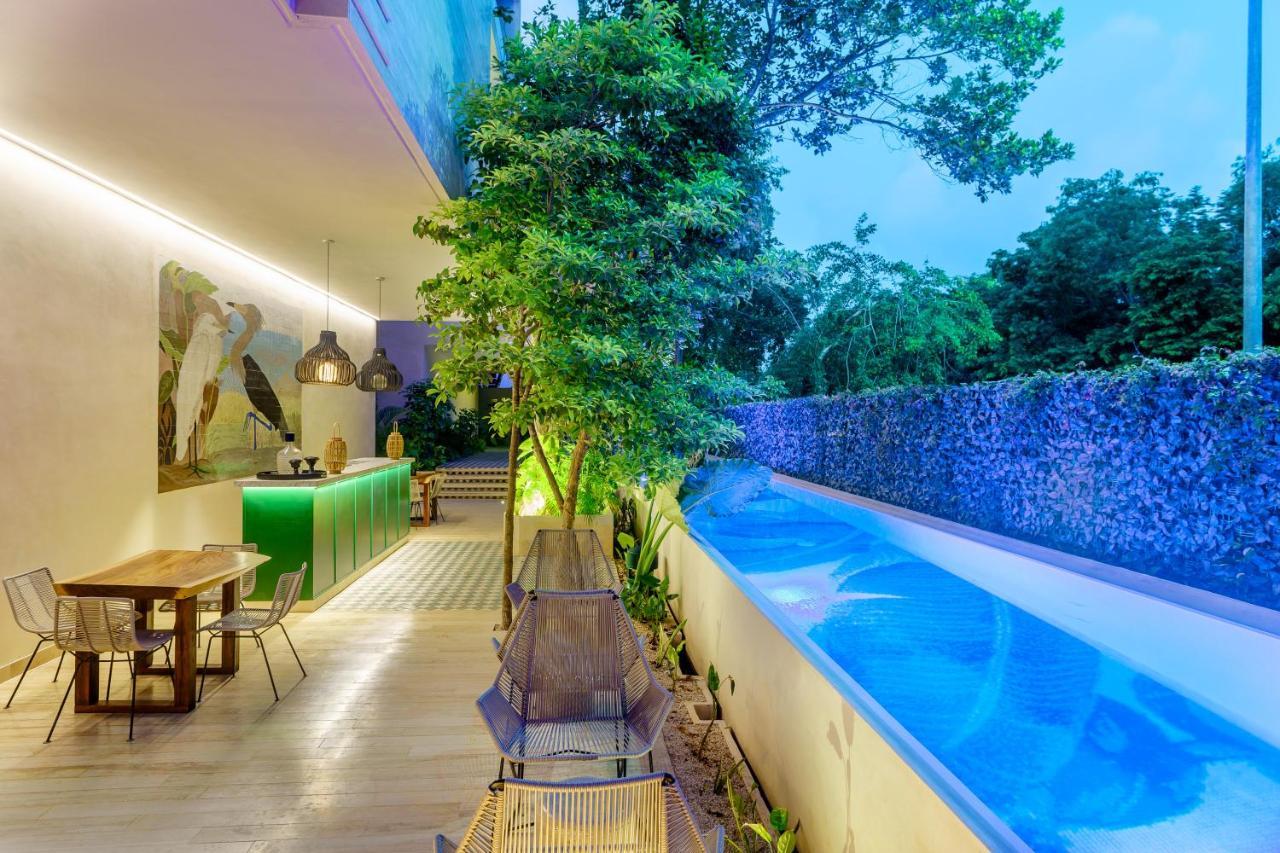 图卢姆305 Luxury Penthouse With Private Pool公寓 外观 照片