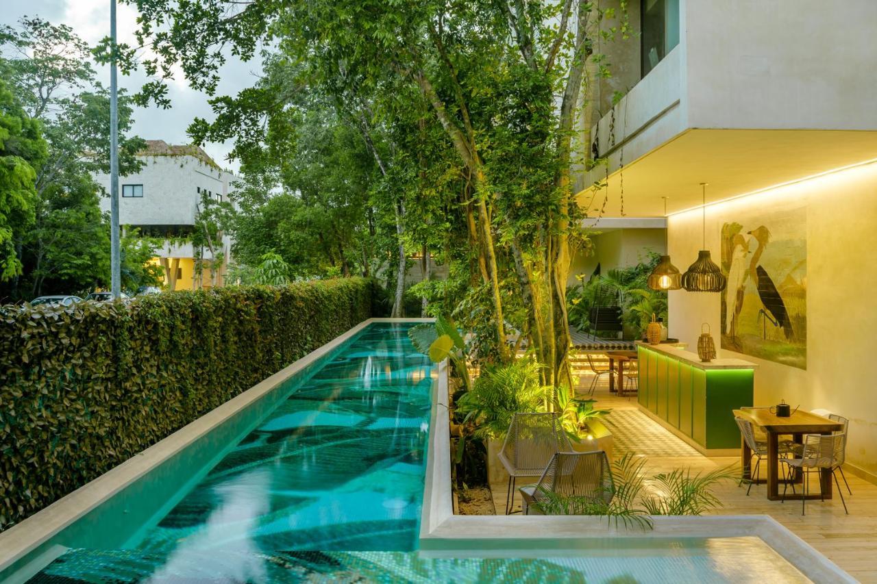 图卢姆305 Luxury Penthouse With Private Pool公寓 外观 照片