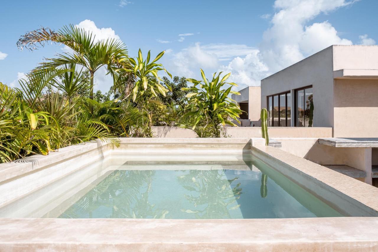 图卢姆305 Luxury Penthouse With Private Pool公寓 外观 照片